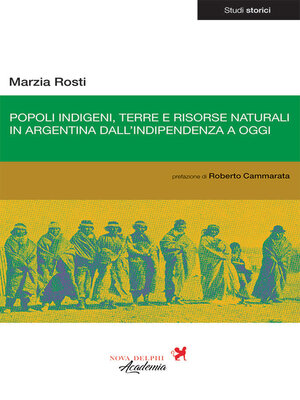 cover image of Popoli indigeni, terre e risorse naturali in Argentina dall'indipendenza a oggi